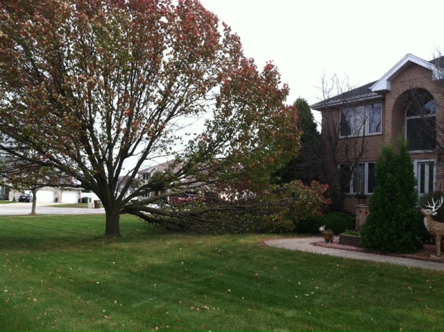 Access Tree Service LLC Image